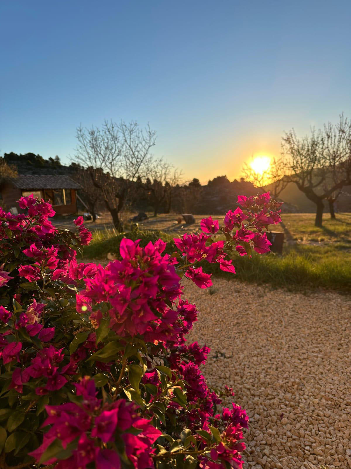 Heart Happiness Retraite, Wat kun je verwachten?